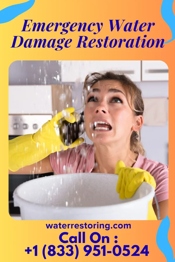 Emergency Water Damage Restoration in White Haven, MT